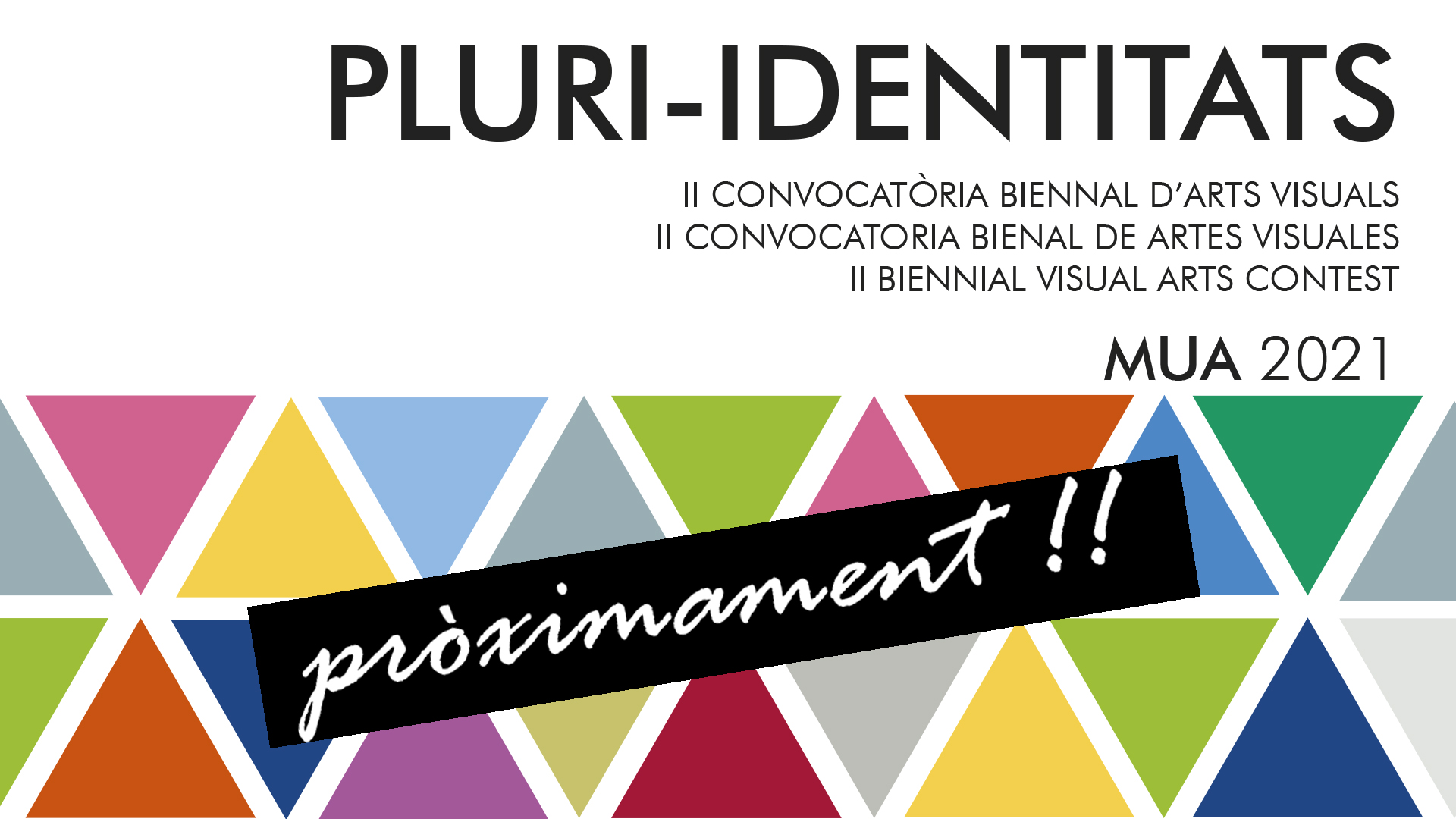  BASES Convocatoria Bienal de Artes Visuales PLURI-IDENTITATS